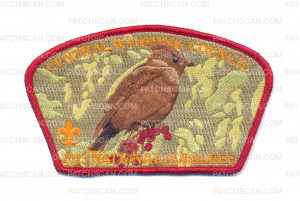 Patch Scan of CWC - 2013 JSP (FINCH)