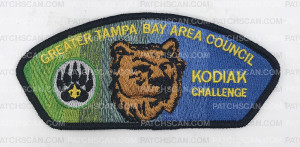 Patch Scan of GTBAC Kodiak Challenge