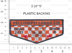 Patch Scan of Pellissippi 230 woven checkerboard 2022 NOAC flap