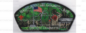 Patch Scan of Nashua Valley District Committee