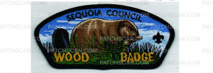 Patch Scan of Wood Badge CSP Beaver (PO 101579)
