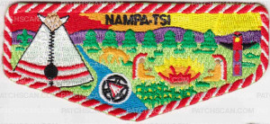 Patch Scan of NAMPA - TSI Flap