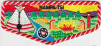 NAMPA - TSI Flap Great Rivers Council #653