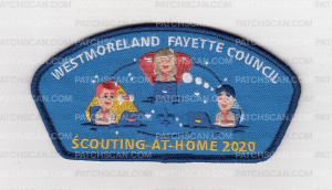 Patch Scan of Scouting at Home 2020 CSP