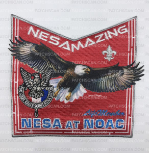 Patch Scan of NESA AT NOAC LM  POCKET PATCH