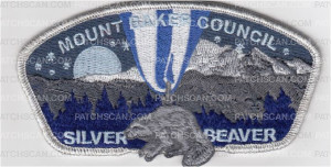 Patch Scan of Silver Beaver 2019 CSP Silver Border