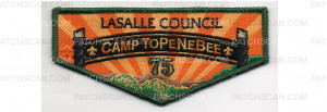 Patch Scan of Camp Flap (PO 89276)