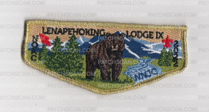 Patch Scan of Lenapehoking Lodge NOAC 2022