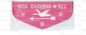 Patch Scan of Woa Chholena lodge flap with pink ribbon and aborder