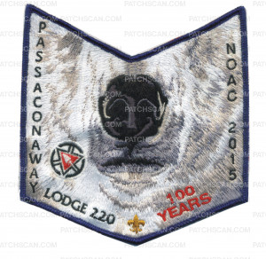 Patch Scan of polar bear NOAC pocket patch (34401)