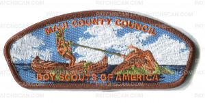 Patch Scan of Maui County Council - Hook CSP 