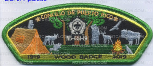 Patch Scan of 380854 PUERTO RICO