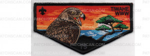 Patch Scan of Lodge Flap (PO 88541)