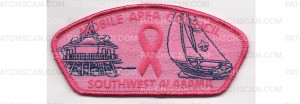 Patch Scan of Breast Cancer Awareness CSP (PO 88886)