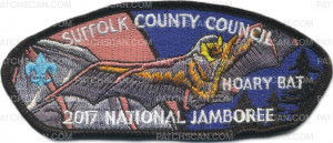 Patch Scan of P23885_Gold_B 2017 Suffolk County Jamboree