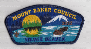 Patch Scan of Silver Beaver 2022