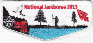 Patch Scan of TB 213478 TB 213467 ML Jambo Flap SILVER 2013