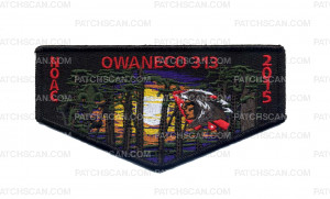 Patch Scan of Owaneco 313 NOAC Set (Flap - Black)
