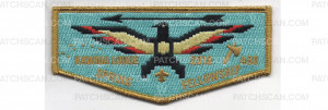 Patch Scan of Spring Fellowship Flap (PO 87602)