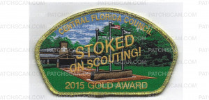 Patch Scan of 2015 Gold Award CSP