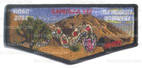 Patch Scan of Cahuilla 127 NOAC 2022 whole snake flap