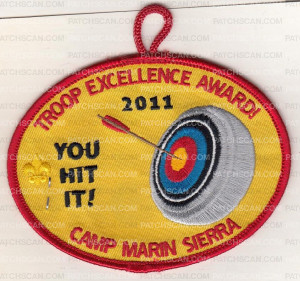 Patch Scan of X149720A TROOP EXCELLENCE AWARD 