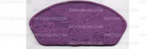 Patch Scan of CSP Ghost Purple (PO 86861)