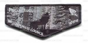 Patch Scan of Pocumtuc Western Mass Council