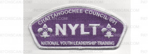 Patch Scan of NYLT CSP (PO 89392) 