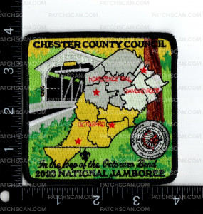 Patch Scan of 161192-Center Patch 