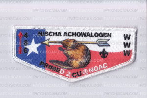 Patch Scan of Nischa Achowalogen Texas NOAC