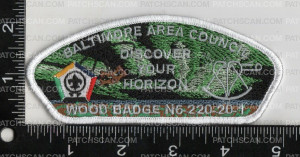 Patch Scan of altimore Area Council Wood Badge N6-220-20-1 Discover Your Horizon 2020