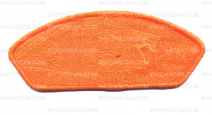 Patch Scan of 2022 NYLT Leadership to the Xtreme (Orange Ghosted)