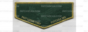 Patch Scan of 75th Anniversary Flap (PO 100945)