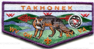 Patch Scan of Takhonek OA Flap with Totem