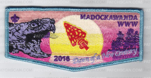 Patch Scan of Madockawanda OA Flap
