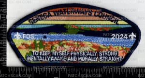 Patch Scan of 162263