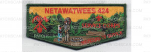 Patch Scan of 500 Hours of Service Flap (PO 86596)