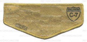 Patch Scan of Section C-7 WWW Flap - Gold Metallic Ghosted
