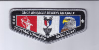 Once an Eagle Always an Eagle Flap Connecticut Rivers Council #66