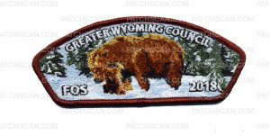 Patch Scan of Greater Wyoming Council FOS 2018 CSP