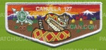 Patch Scan of Cahuilla 127 turtle flap