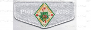Patch Scan of 2018 Lodge Flap White (PO 87581)
