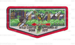 Patch Scan of Santee 116 Wild Santee Appeared at Dixie 2017 Color Flap