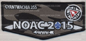 Patch Scan of Gyantwachia 255 - Pocket Flap