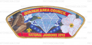 Patch Scan of QAC - 2013 JAMBOREE BACK PATCH