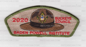Patch Scan of Baden Powell Institute CSP