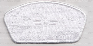 Patch Scan of Ready Set Scout FOS