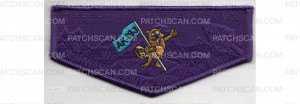 Patch Scan of Conclave 2020 Flap (PO 89252)
