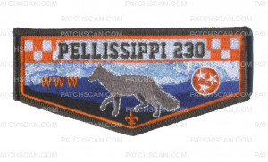 Patch Scan of Pellissippi 230 checkboard flap